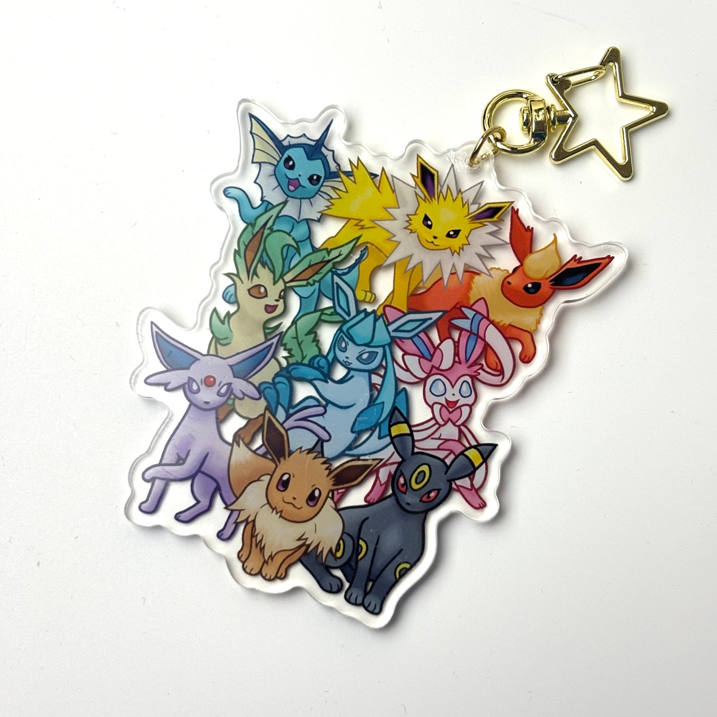 All Evolutions Chunky Acrylic Charm