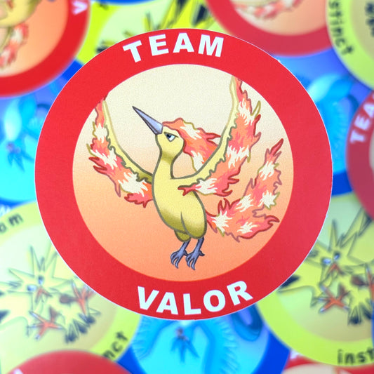 Go Team Round Vinyl Sticker